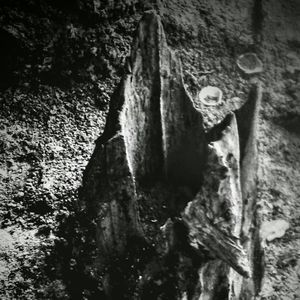 Meet your Posher, Jeffery